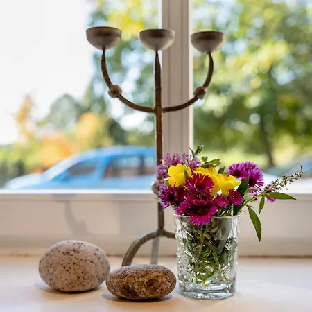 In Der Alten Weinpresse * Dresden